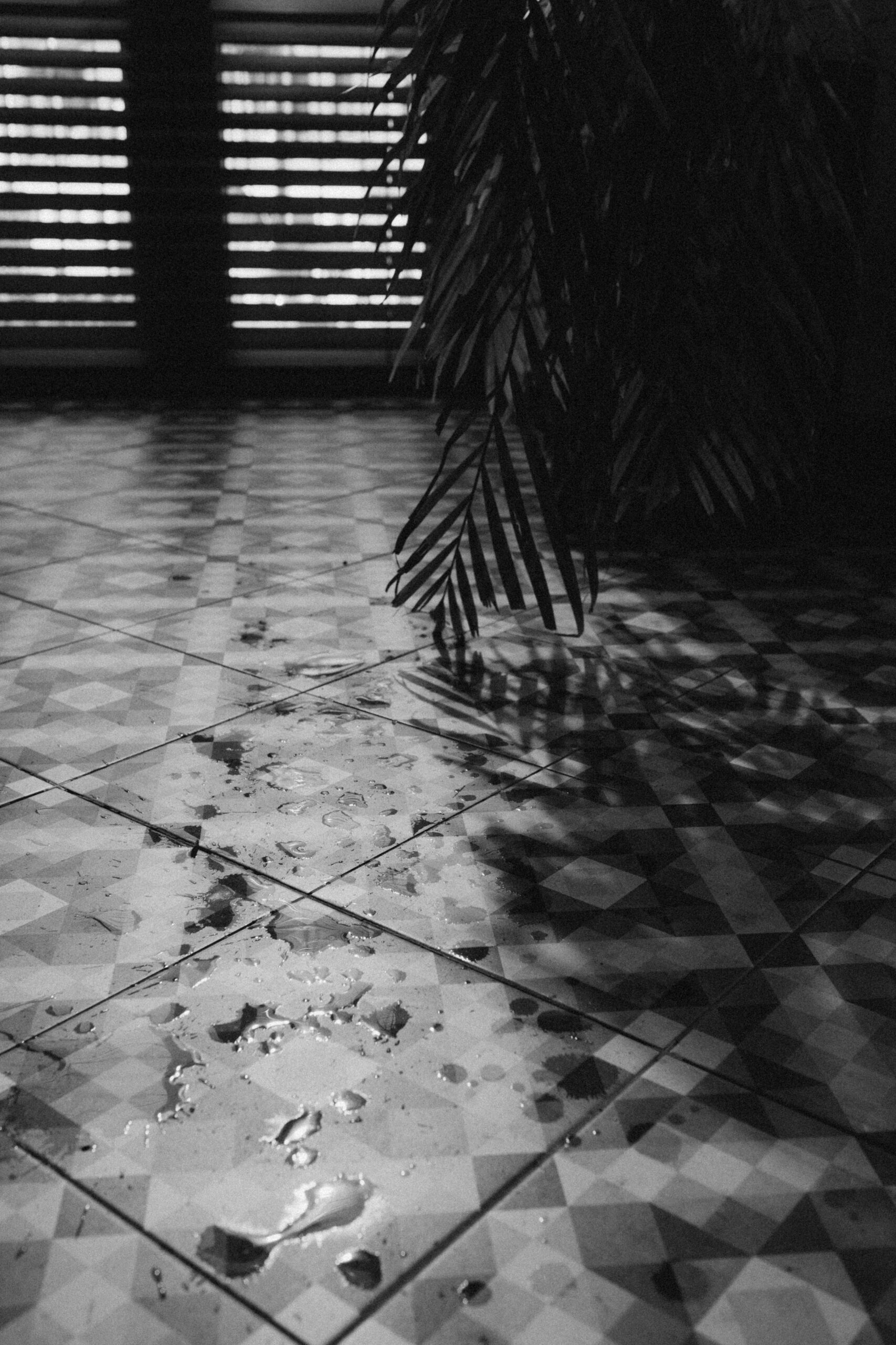 Black and white photo of a tiled floor with shadows and a water spill.
